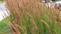 Prairie Lakes Elects New Officers and Board Members