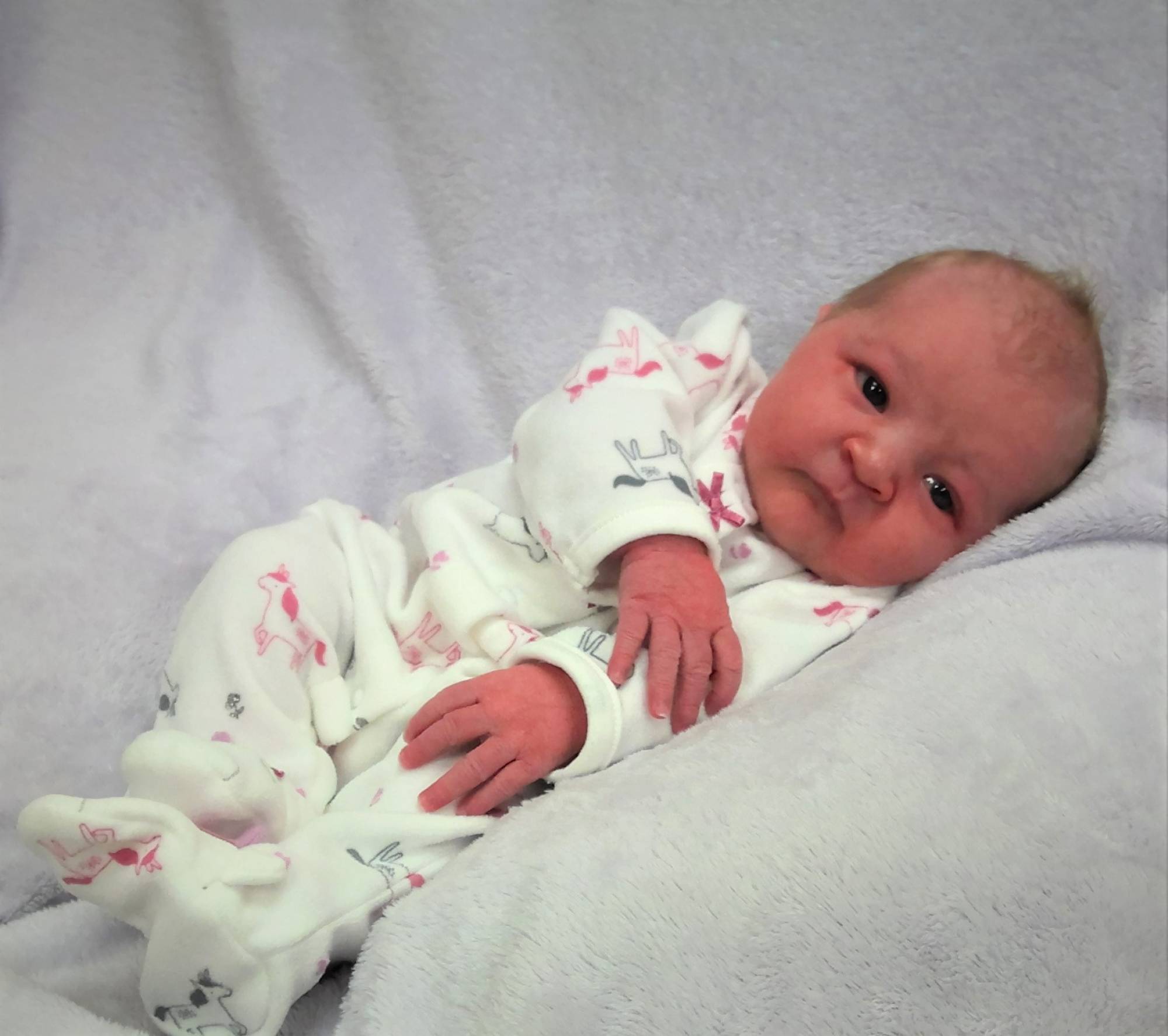 Harper Evelyn Jean