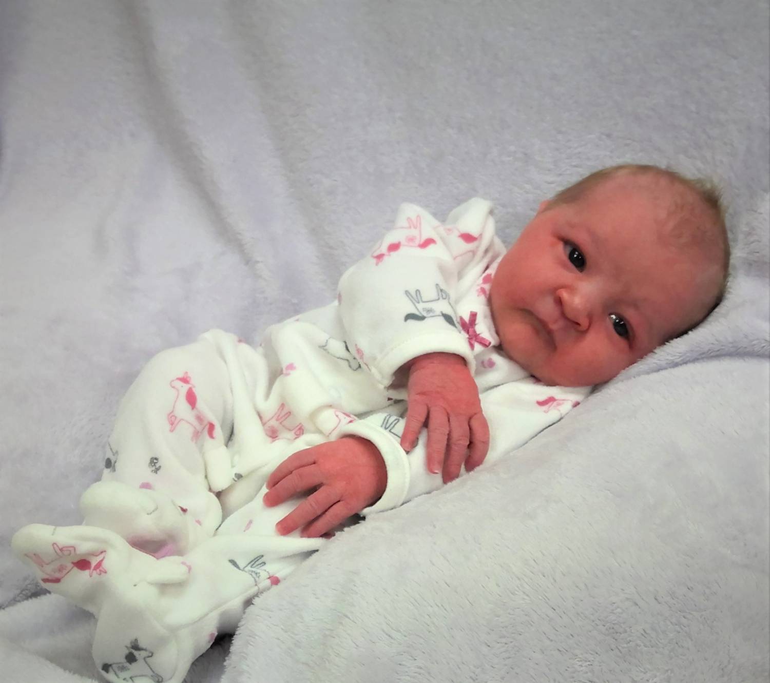 Harper Evelyn Jean