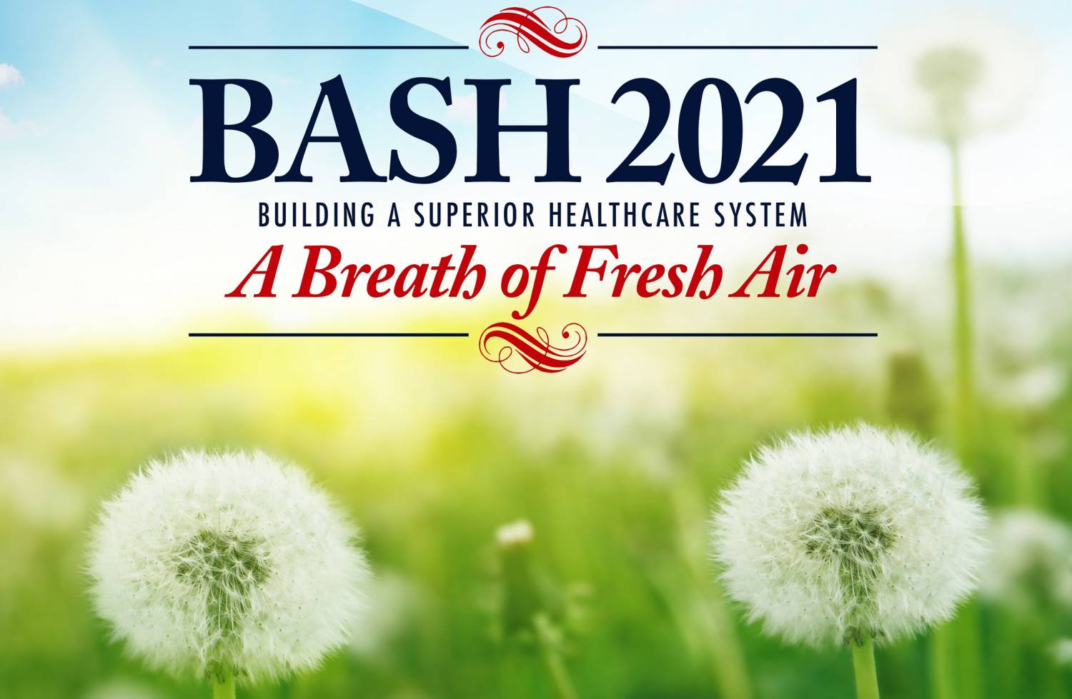 BASH, A Breath of Fresh Air