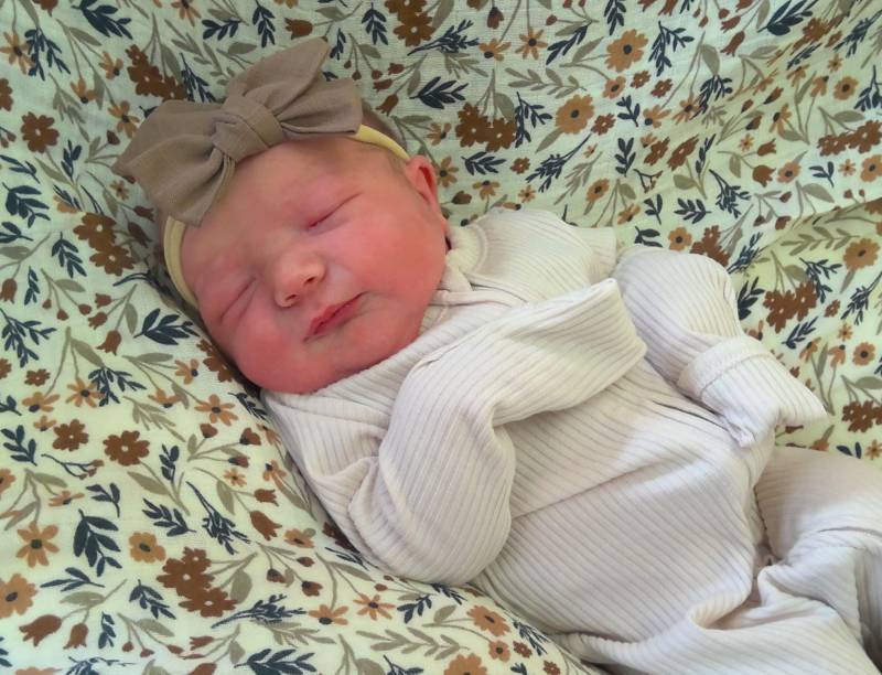 Harper Rae