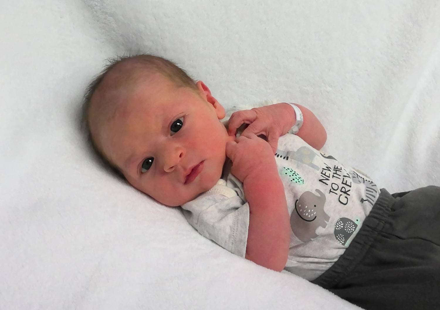 Truitt Julian Michael