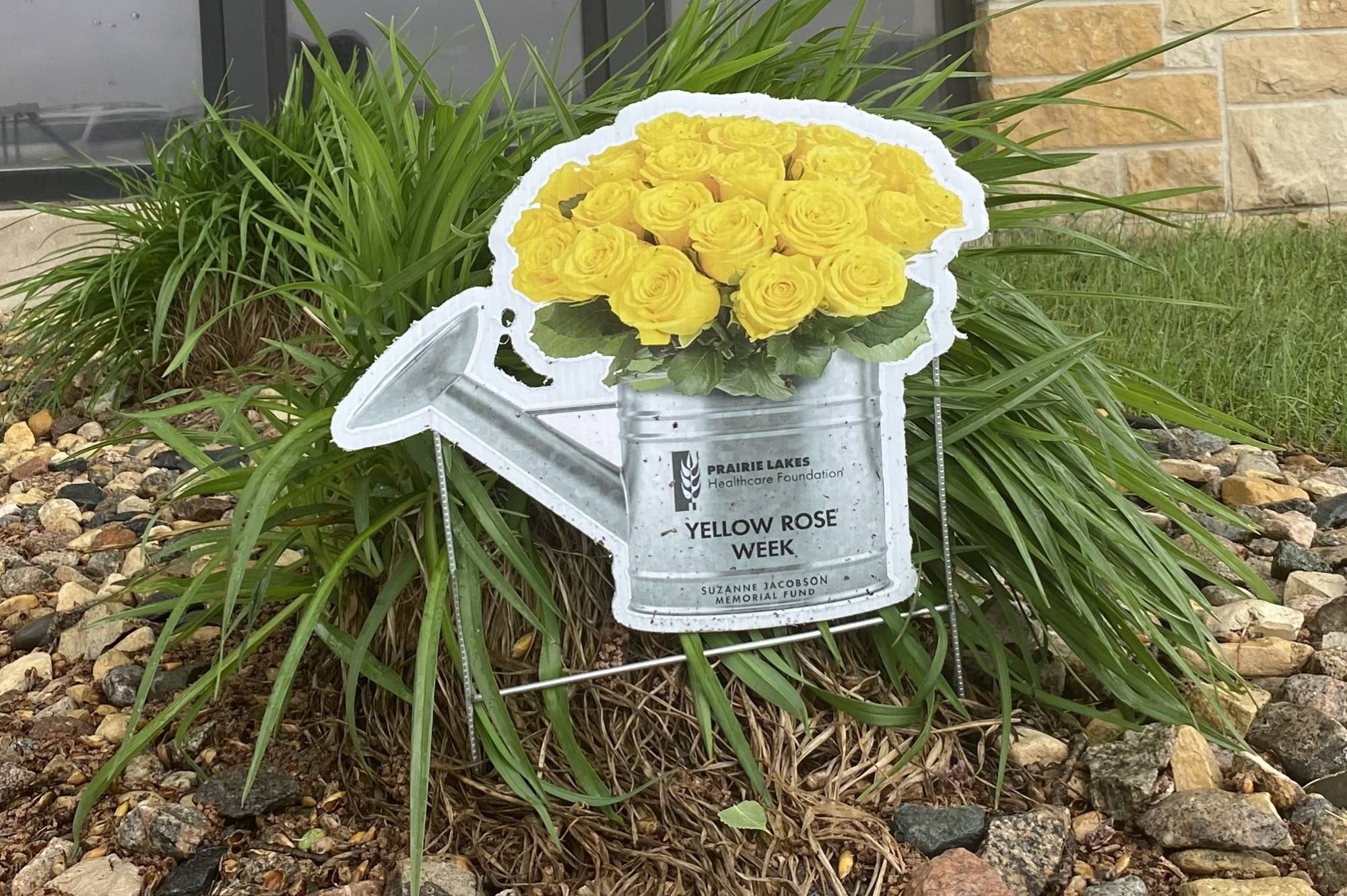 Yellow Rose Week Yard Signs