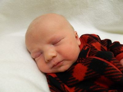 Jackson Donald