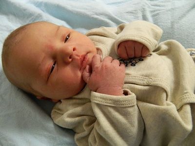 Nathan Daniel