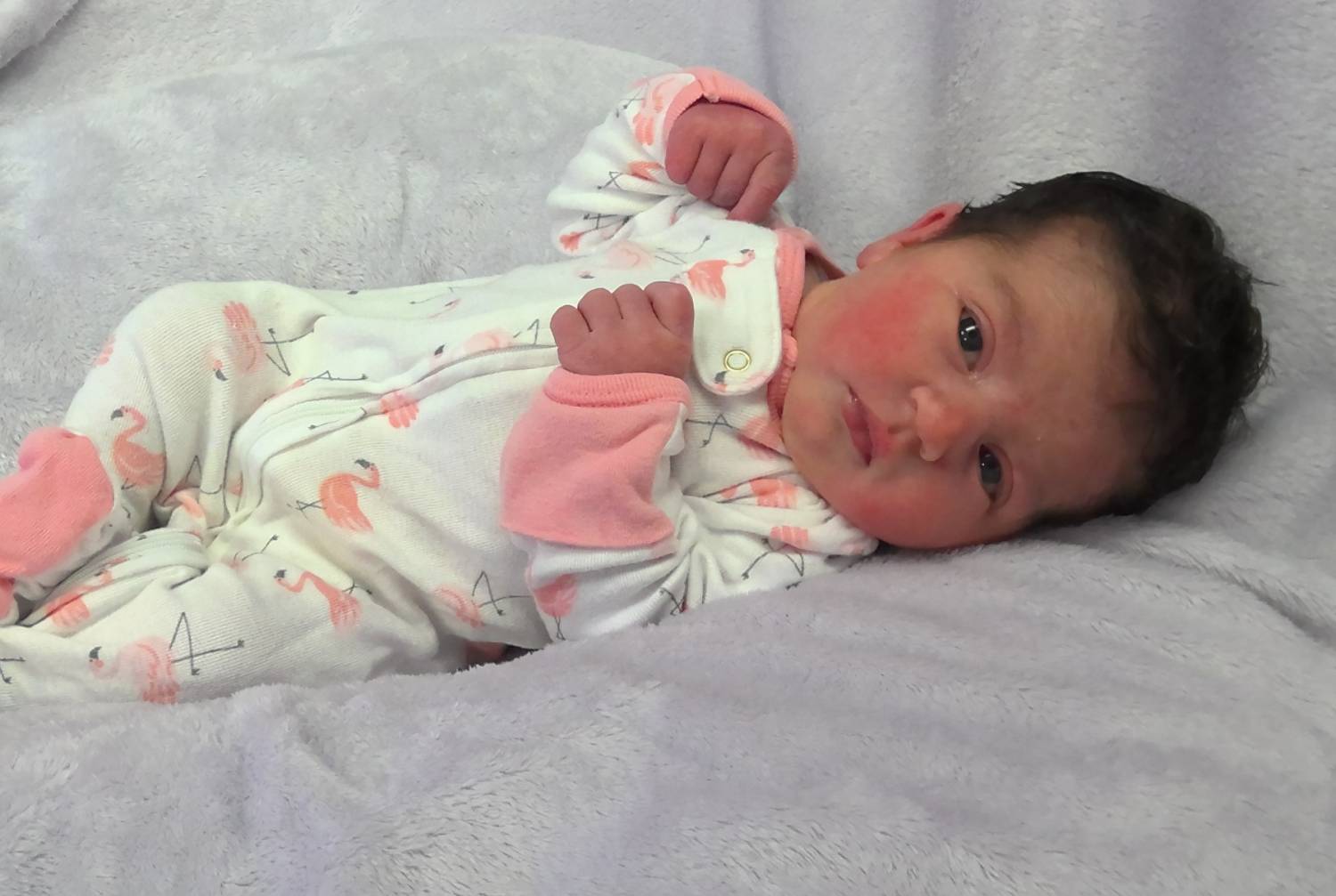 Millie GwendoLynn Nicole
