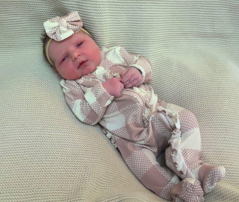 Harlyn Jo
