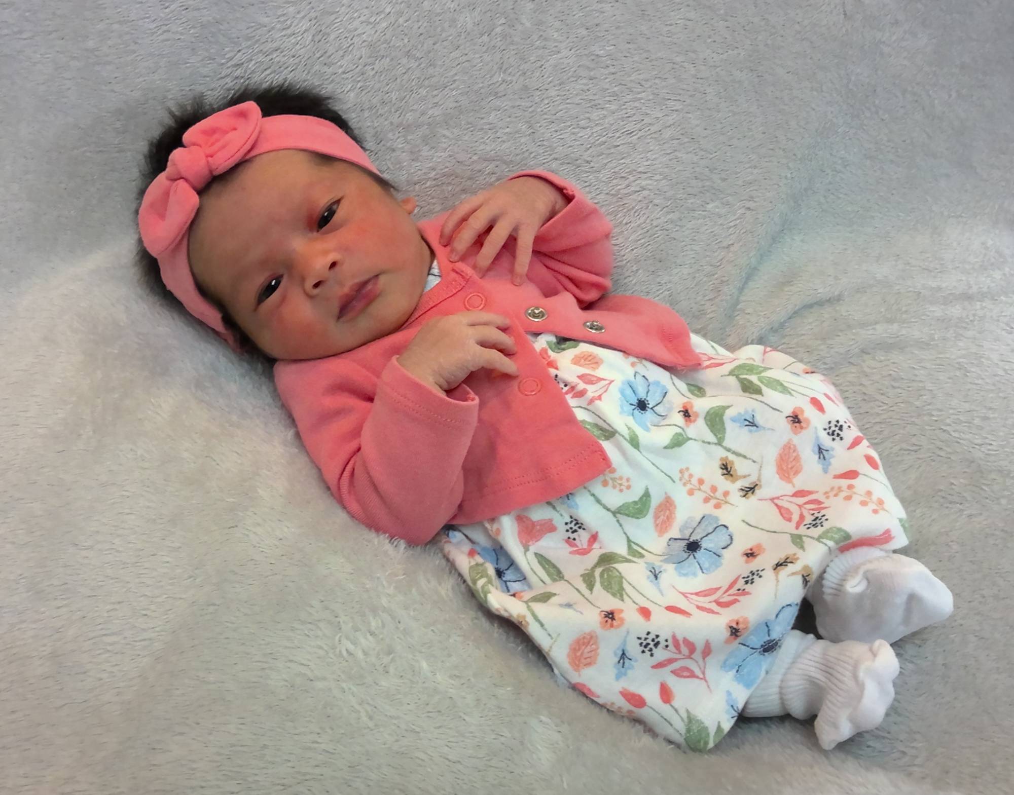 Arya Eliza