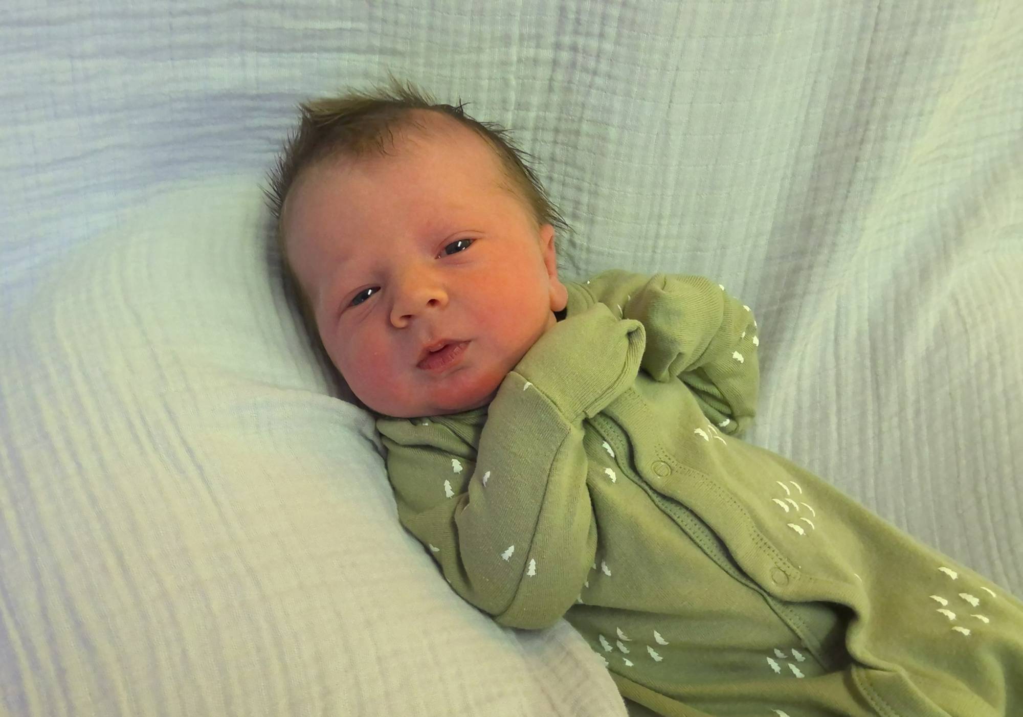 Dawson Donald