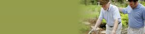 Hospice banner