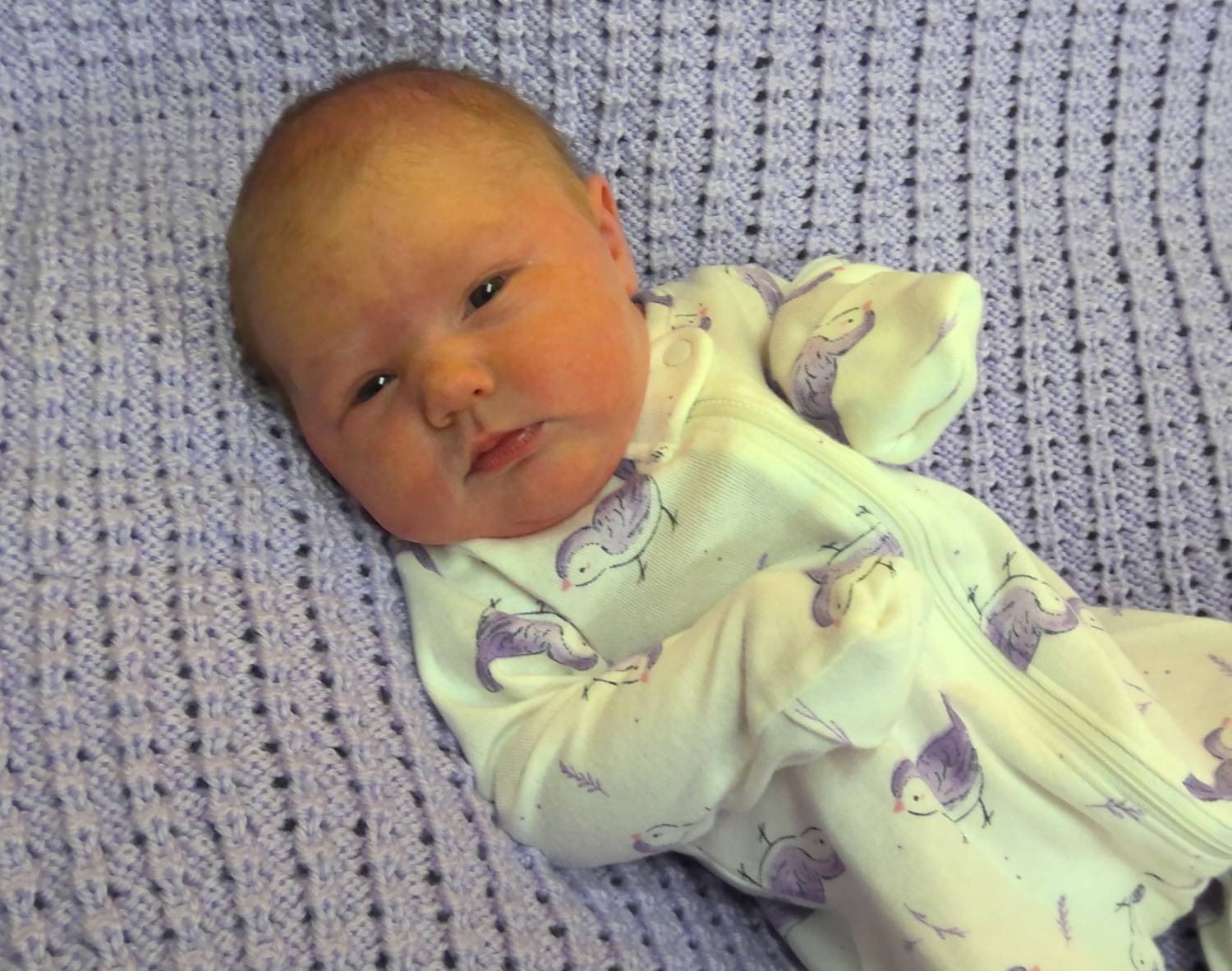 Isla Colleen