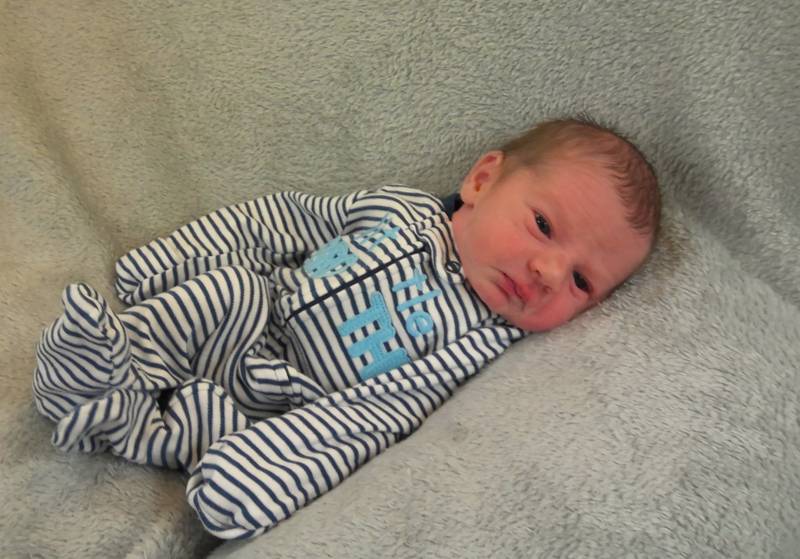 Reed Randy