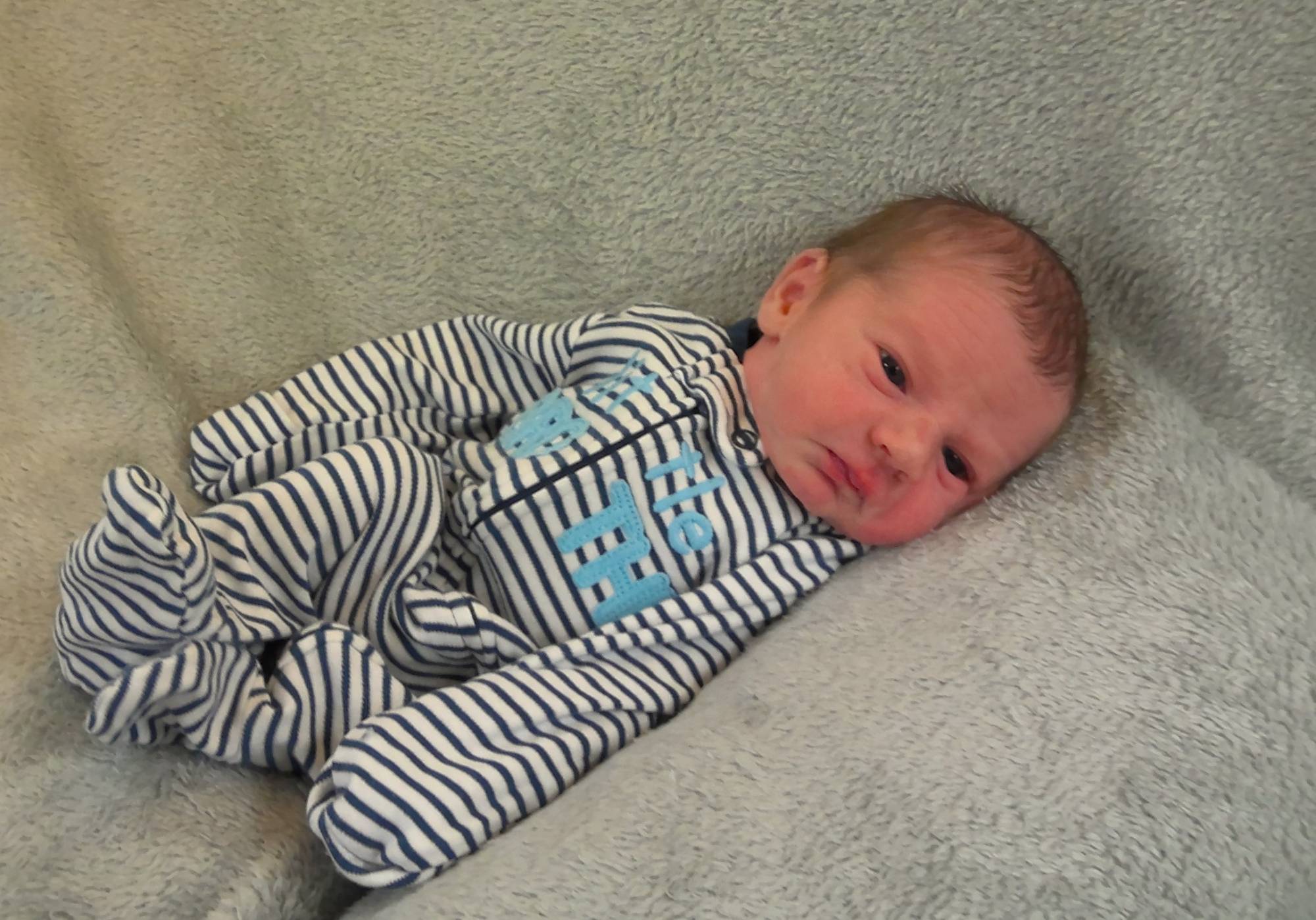 Reed Randy