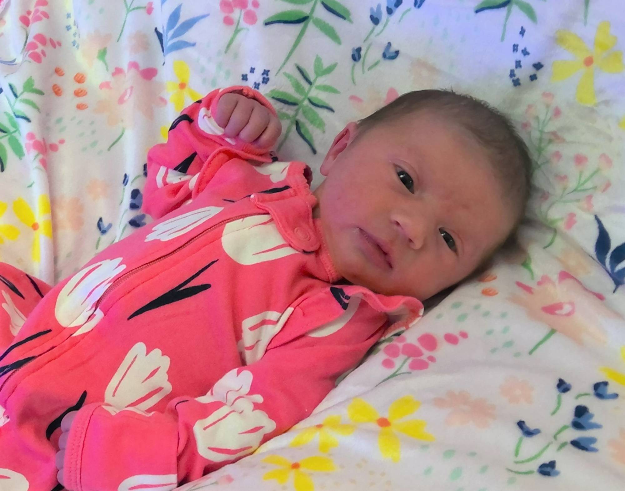 Arianna Joy