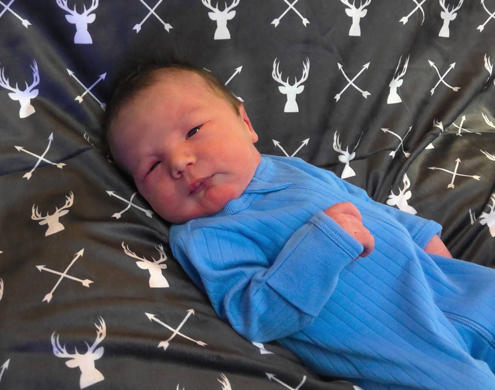 Beckham Steele