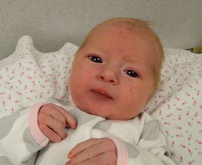 Hadley Lyn