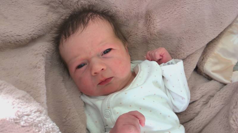 Harper Jenette