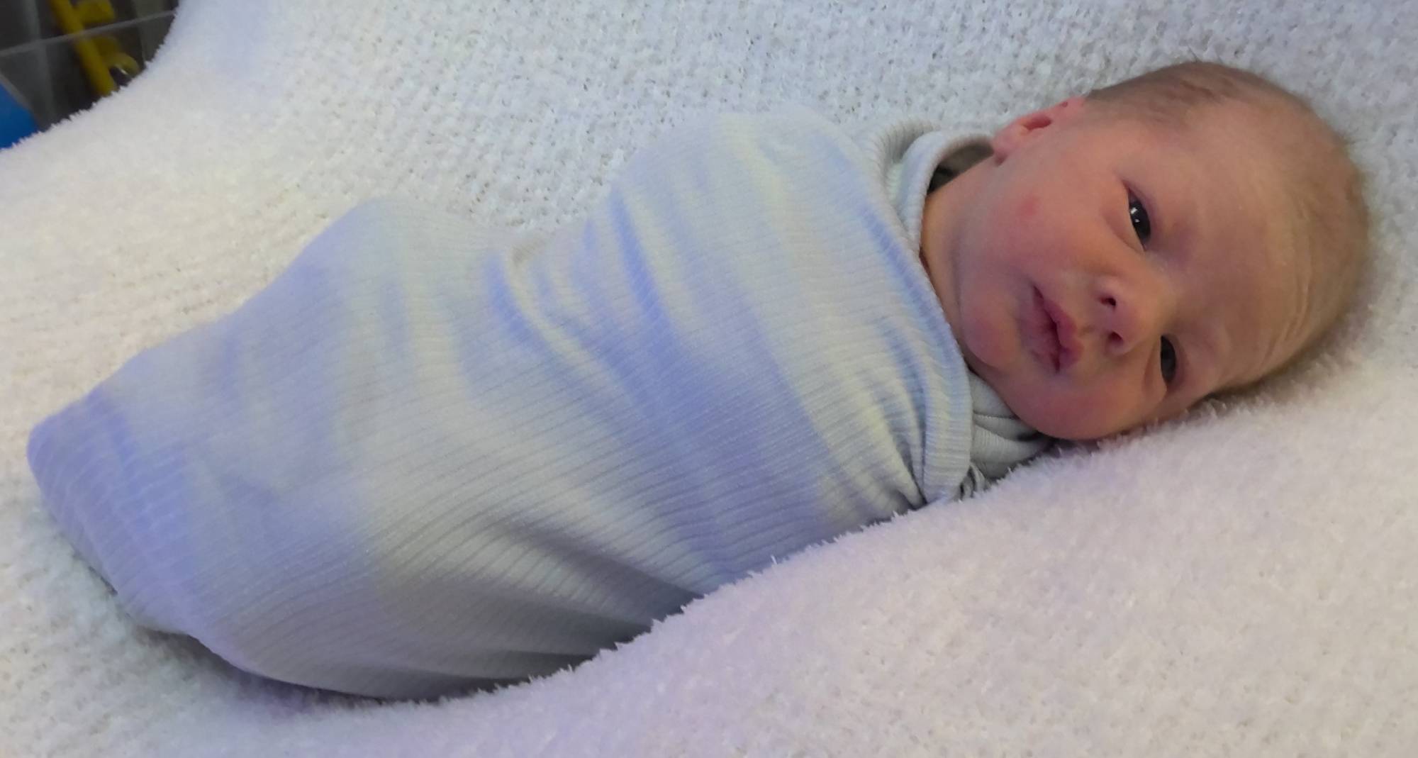Asher Harold