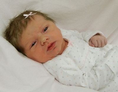 Bay Rose