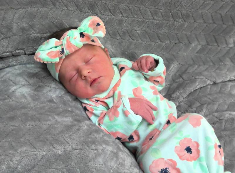 Evelynn Jo